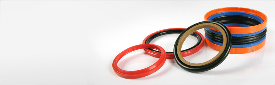 Hydraulic seal kits
